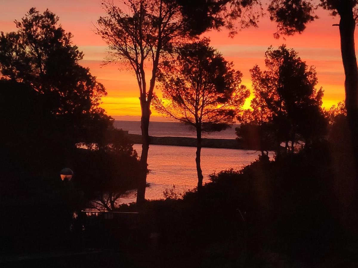 Paraiso En Cala Llobeta Calafat Bagian luar foto