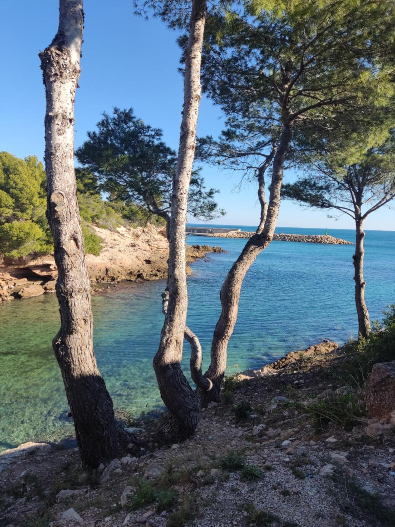 Paraiso En Cala Llobeta Calafat Bagian luar foto